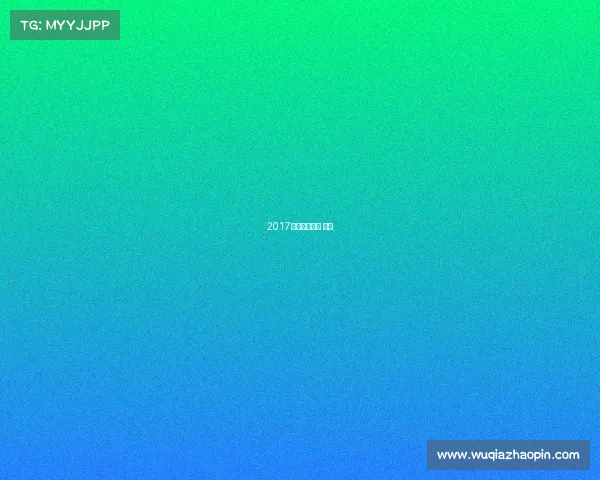 2017丁宁赛事丁宁 冠军