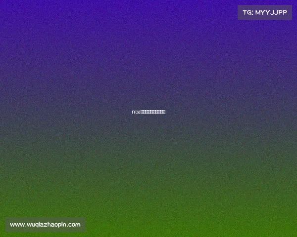 nba赛事结果集锦讲解大全